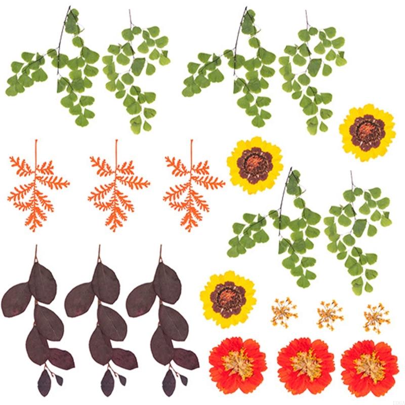 Fleur pressée séchée pour moul - Resin Craft Ideas avis et prix