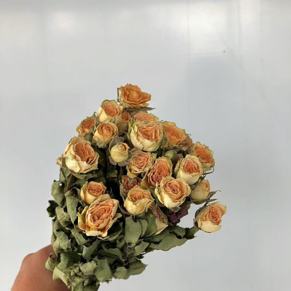 Vrais roses séchées, bouquet d - Resin Craft Ideas avis et prix