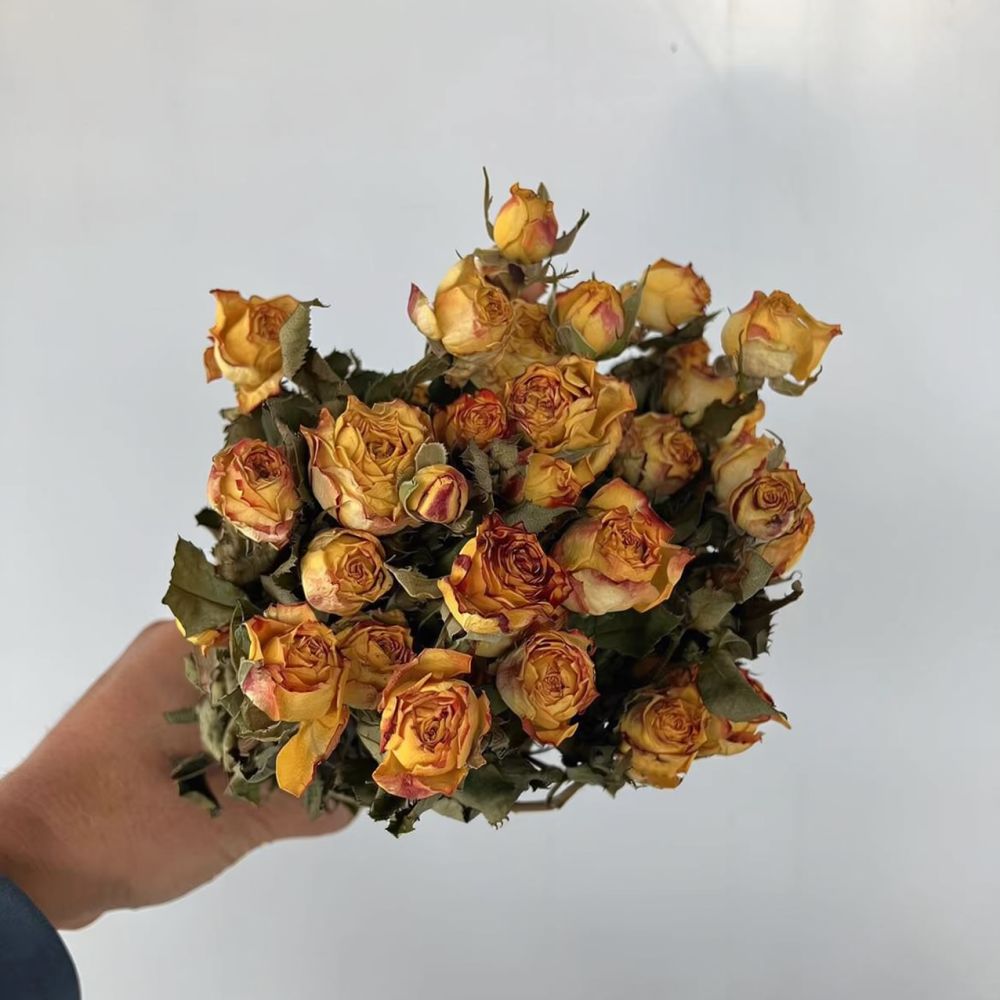 Vrais roses séchées, bouquet d - Resin Craft Ideas avis et prix